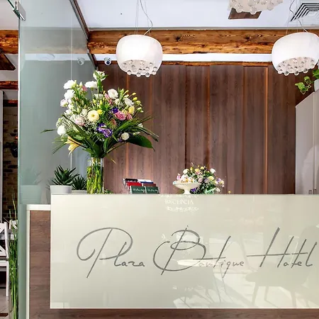 Plaza Boutique Hotel-2